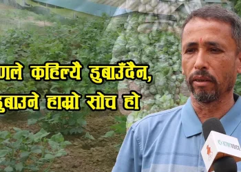 साना ऋणबाट ठुलो सम्भावनाः राजेन्द्र गर्तौलाको १६ रोपनीसम्म फैलिएको कृषिको यात्रा (भिडियोसहित)